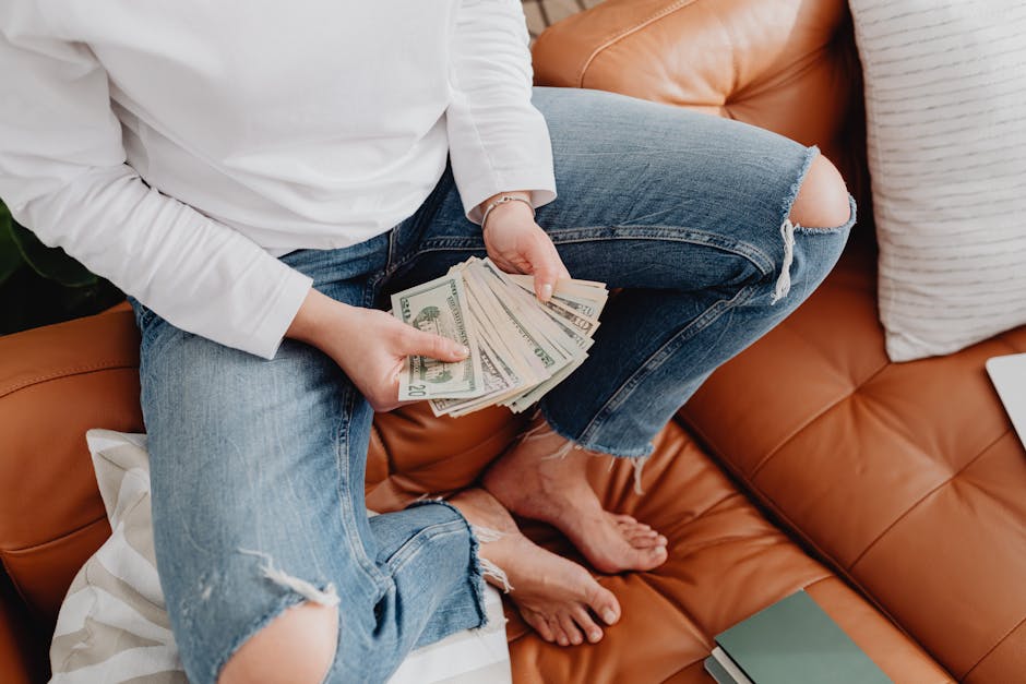 Simple Home Budget Lite Final Verdict — Free Windows Budgeting Software screenshot