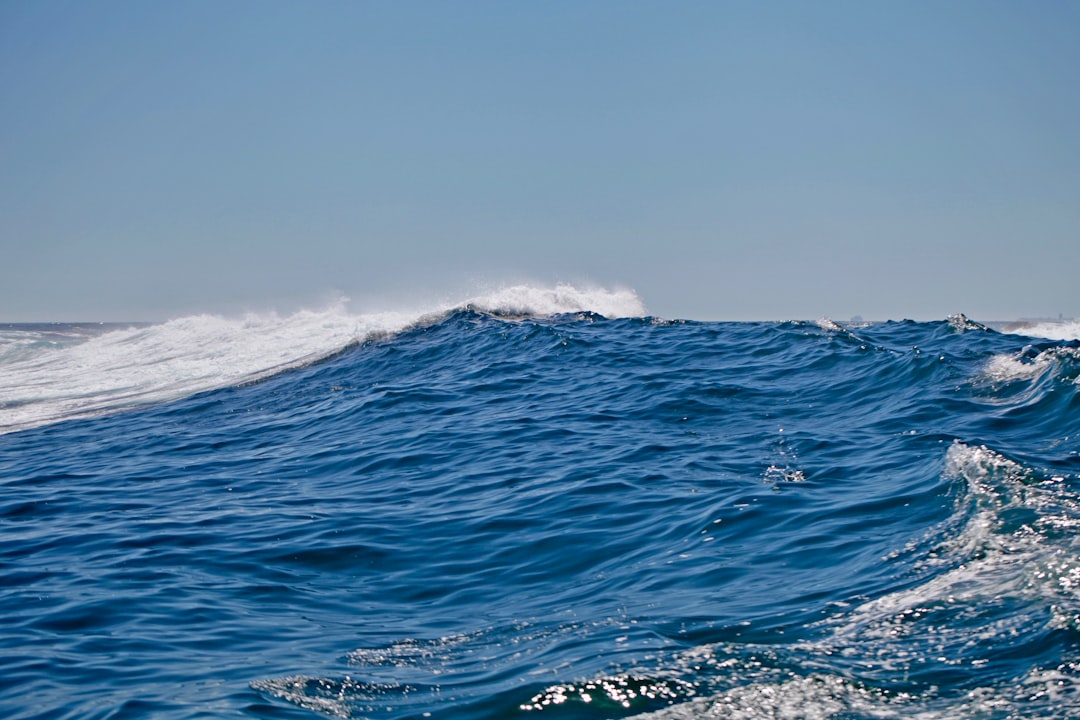 Wave Accounting, how to secure data Wave Accounting, migration guide with dedupe archives and encryption