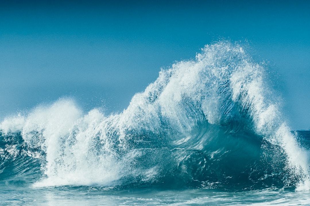 Wave Accounting, how to import CSV Wave Accounting, category budgeting method with safe restore points